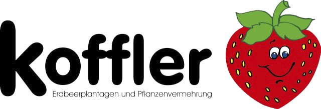 Koffler Erdbeeren