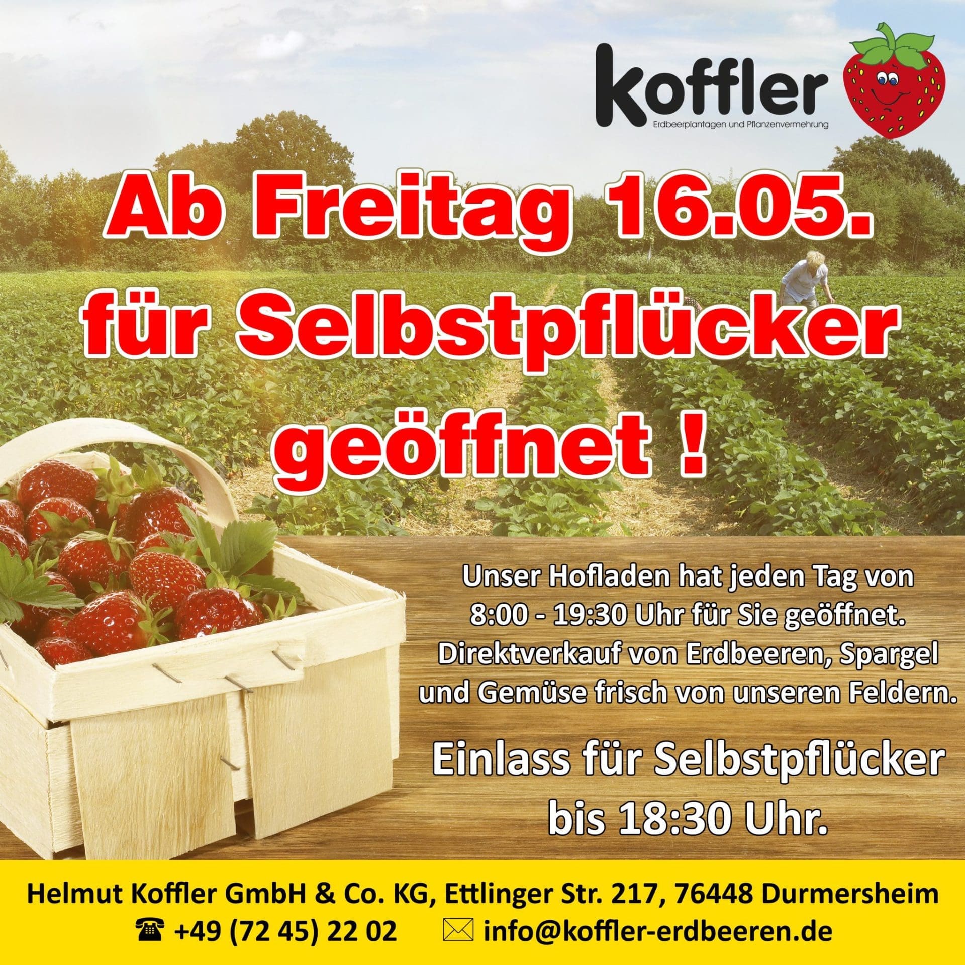 🍓 Große Neuigkeiten für alle Erdbeer-Fans! 🎉