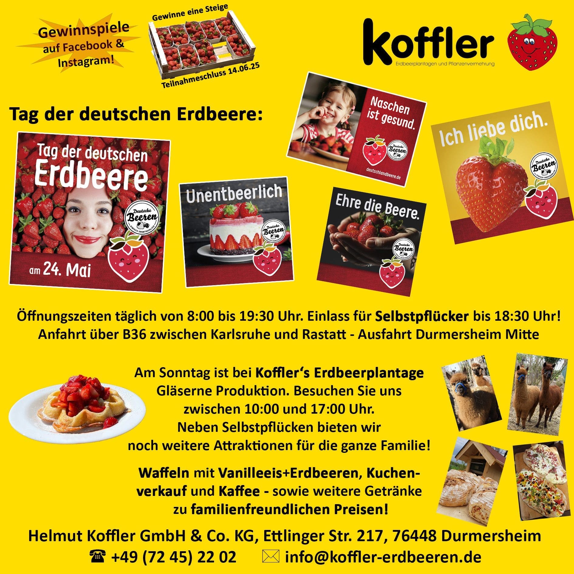 Tag der Deutschen Erdbeere 2025 bei Koffler Erdbeeren! 🍓🍓🍓