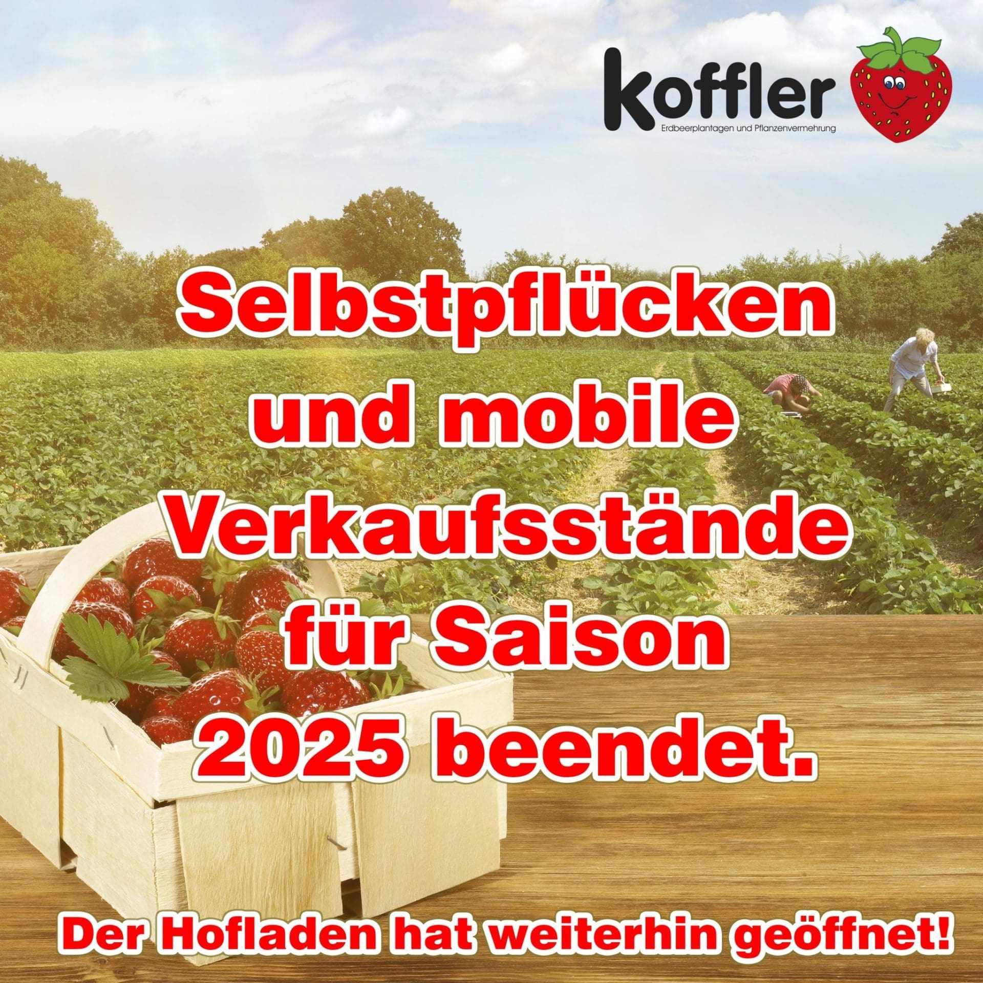 🍓 Saisonende 2025 – Selbstpflücken & Verkaufsstände beendet 🌱