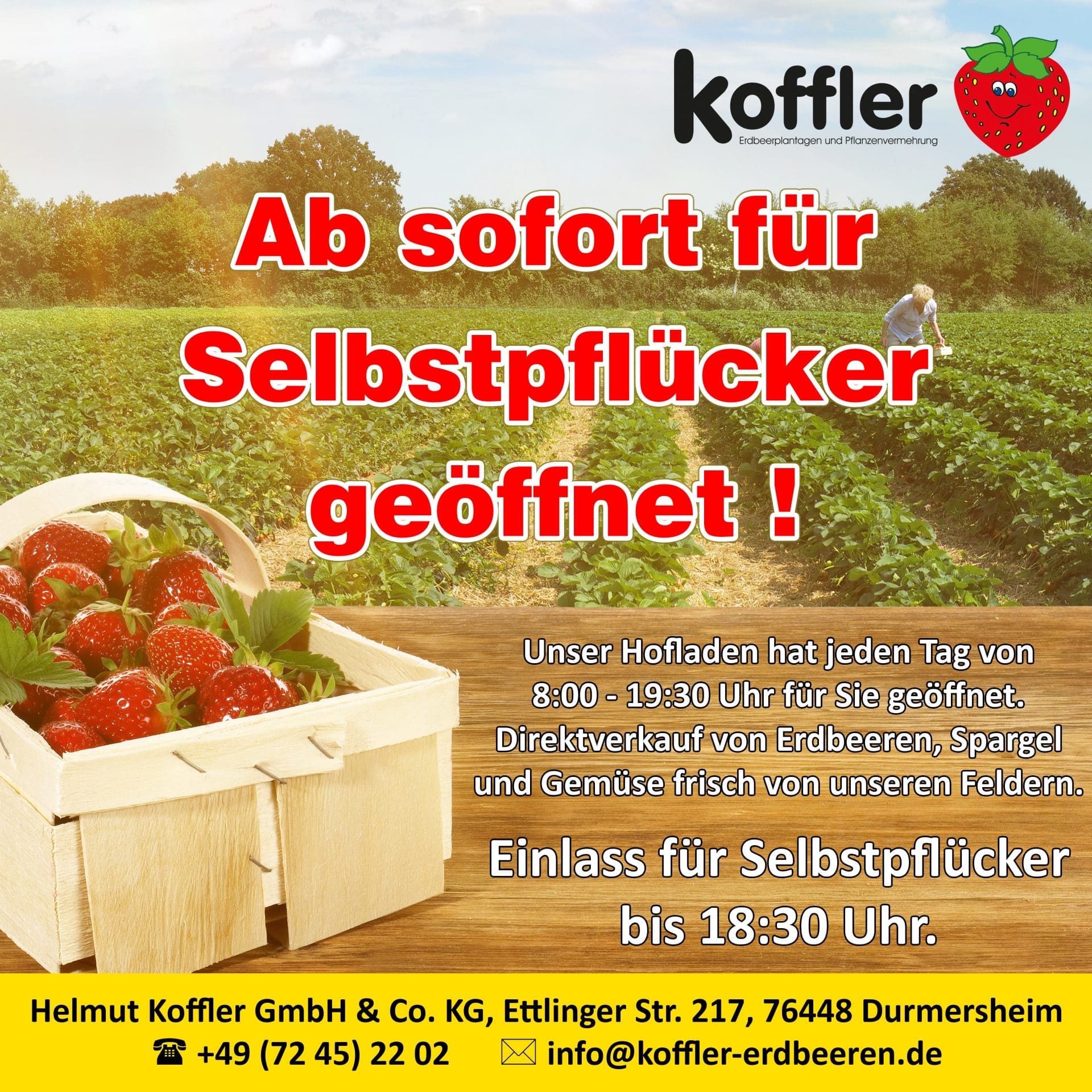 🍓 ENDLICH WIEDER SELBSTPFLÜCKER GEÖFFNET! 🌞🎉