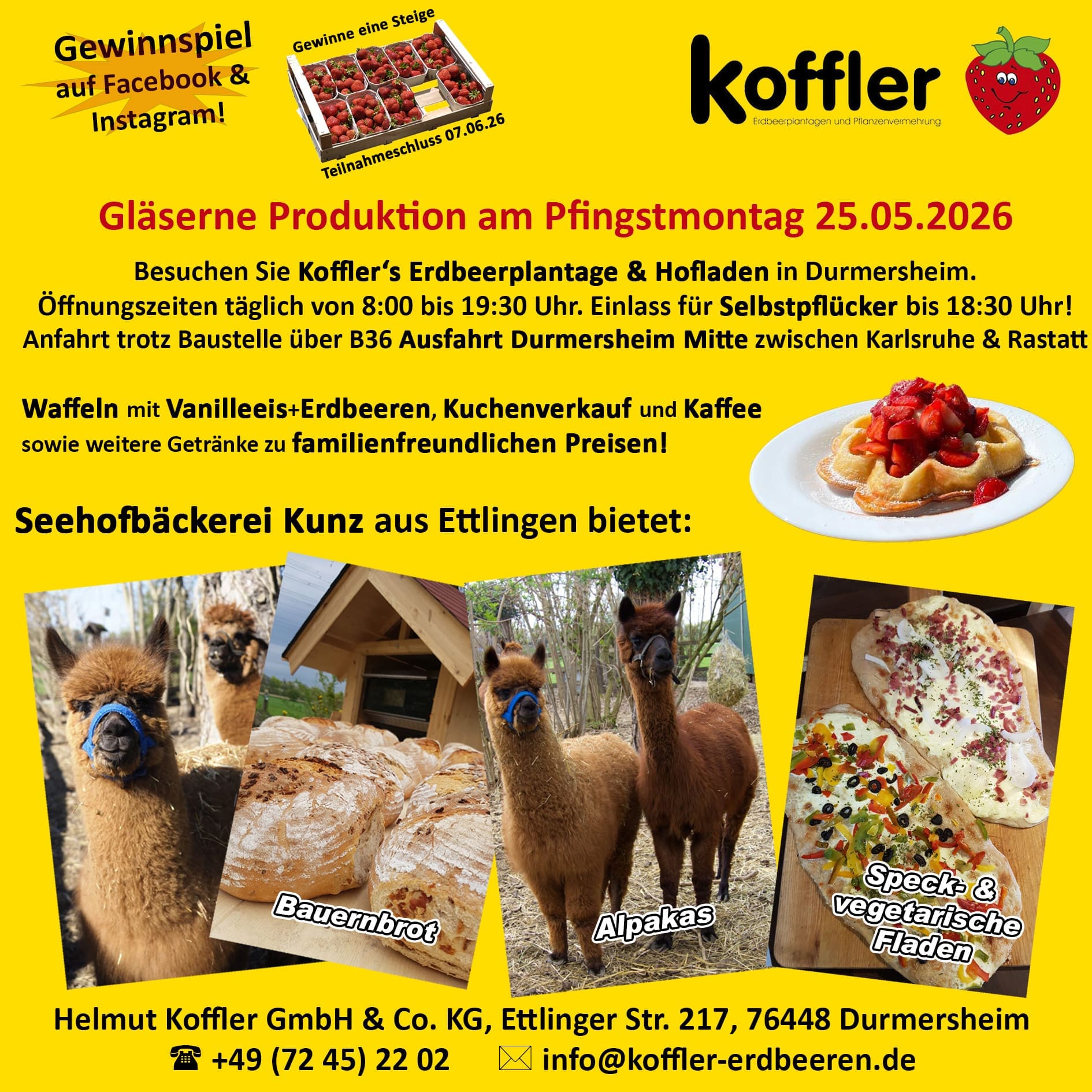 🍓 Gläserne Produktion am Pfingstmontag, 25.05.2026 🍓