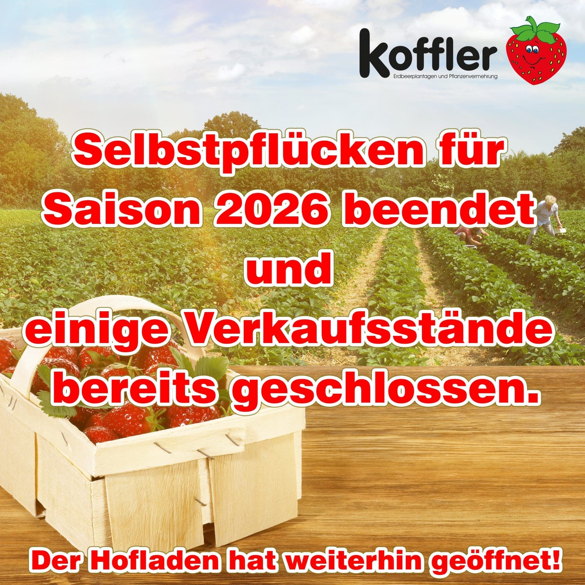 🍓 Selbstpflück-Saison 2026 beendet – Erdbeeren weiterhin erhältlich! 🍓