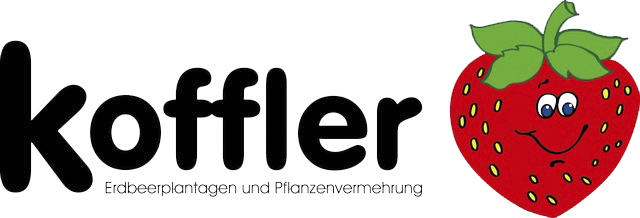 Koffler Erdbeeren