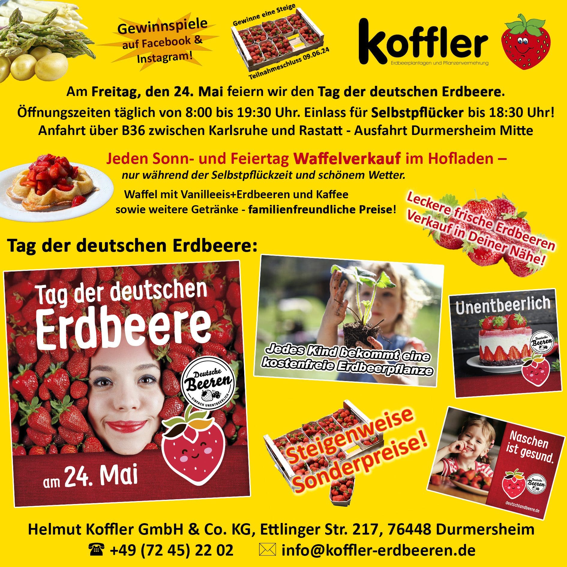 Feiert mit uns den Tag der Deutschen Erdbeere! 🍓