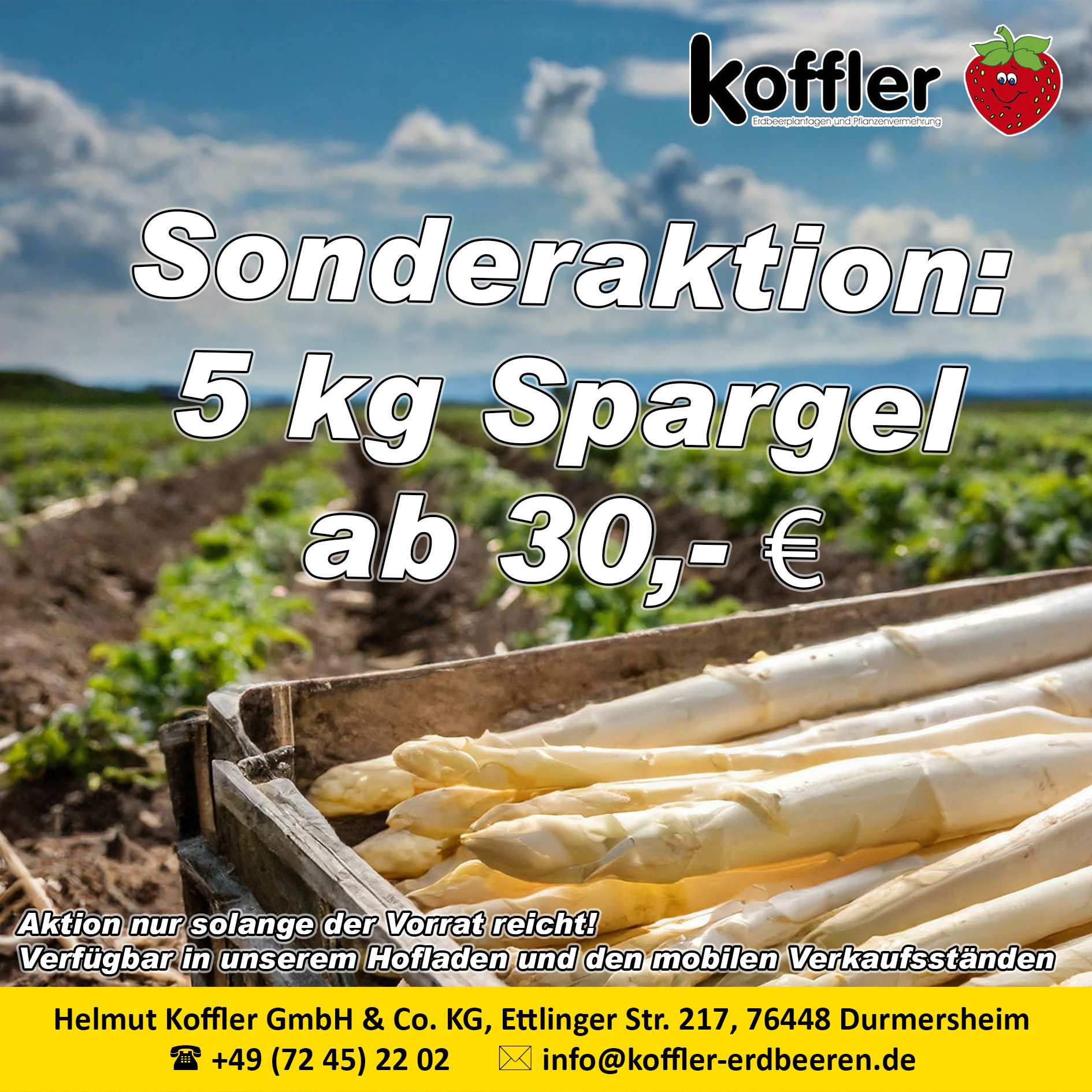 🎉 Aktionstag bei Koffler Erdbeeren! 🎉