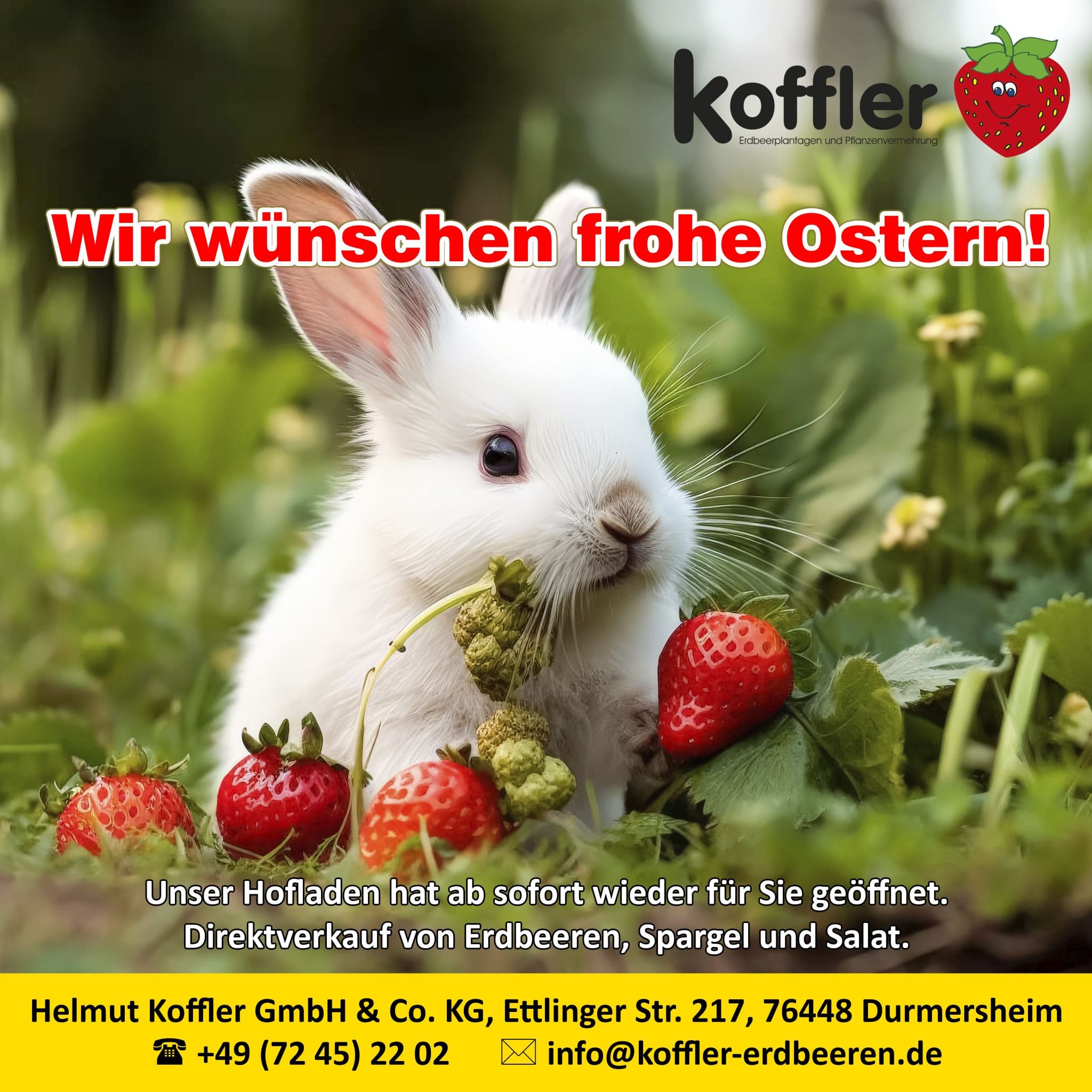 Frohe Ostern & Start in die Erdbeersaison 2025 bei Koffler Erdbeeren!