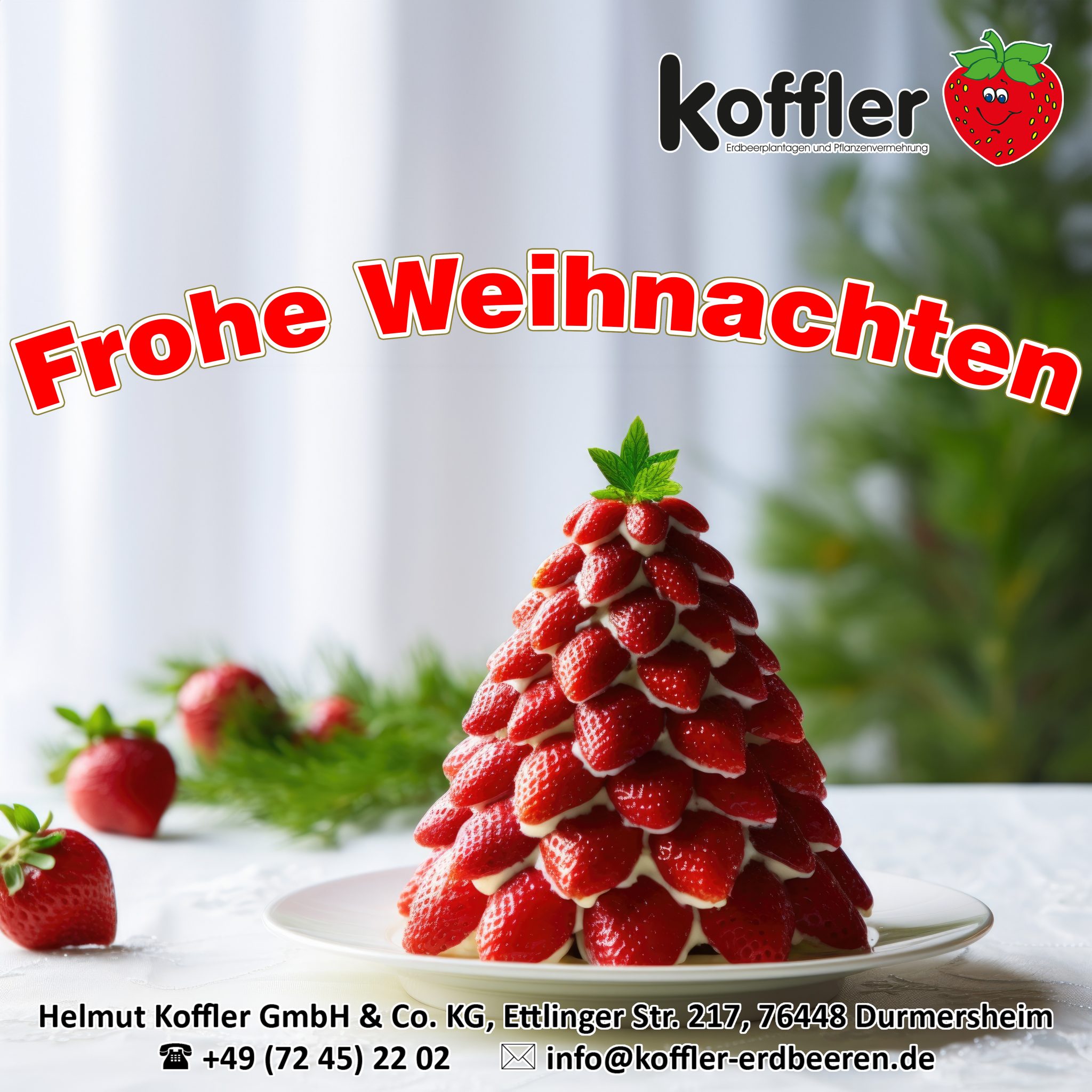 🍓🎄 Frohe Weihnachten von Koffler Erdbeeren! 🎅