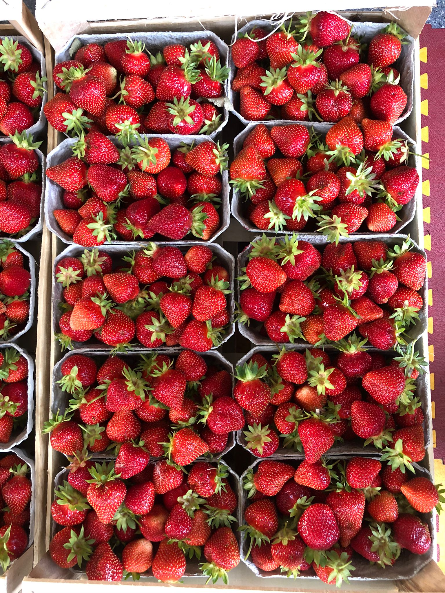 Frische Erdbeeren in unseren Hofläden